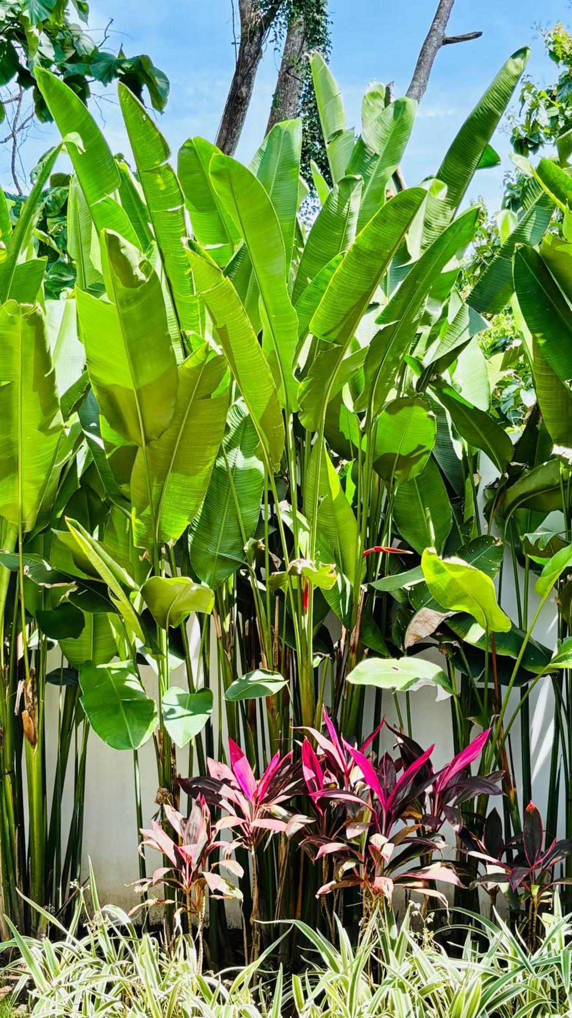 Mantra Wellness Center Hotel Uluwatu Eksteriør billede